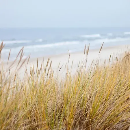 Meerholung 2 10 Daire Cuxhaven